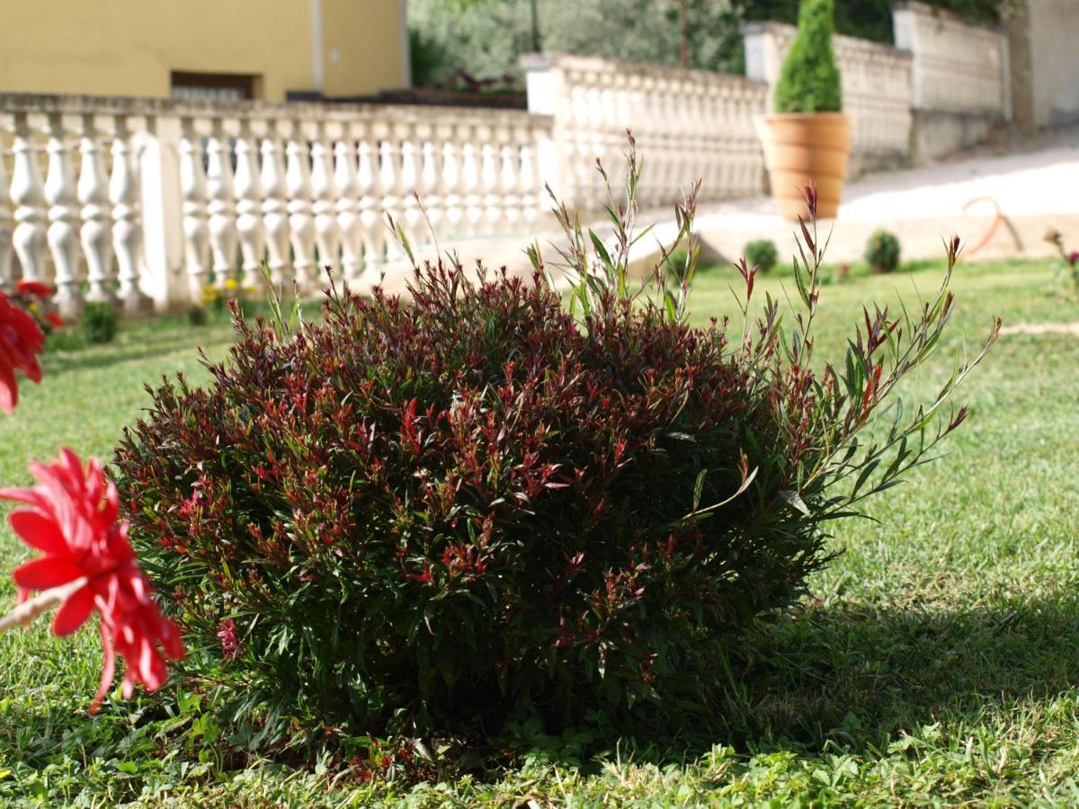 Mirasol Apartament *