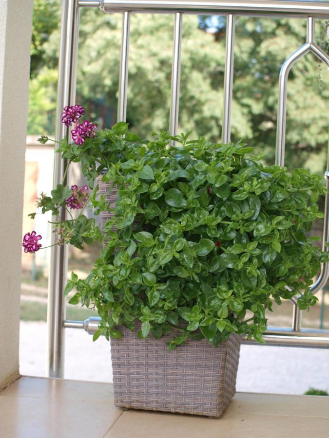 Apartment Mirasol Umag