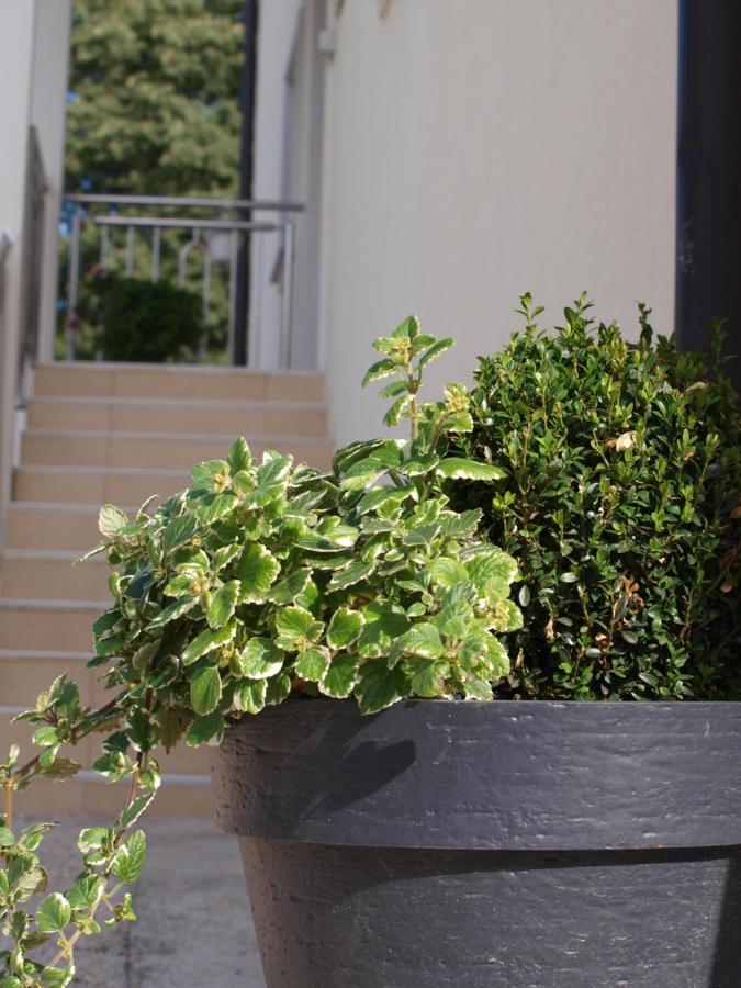 Apartment Mirasol